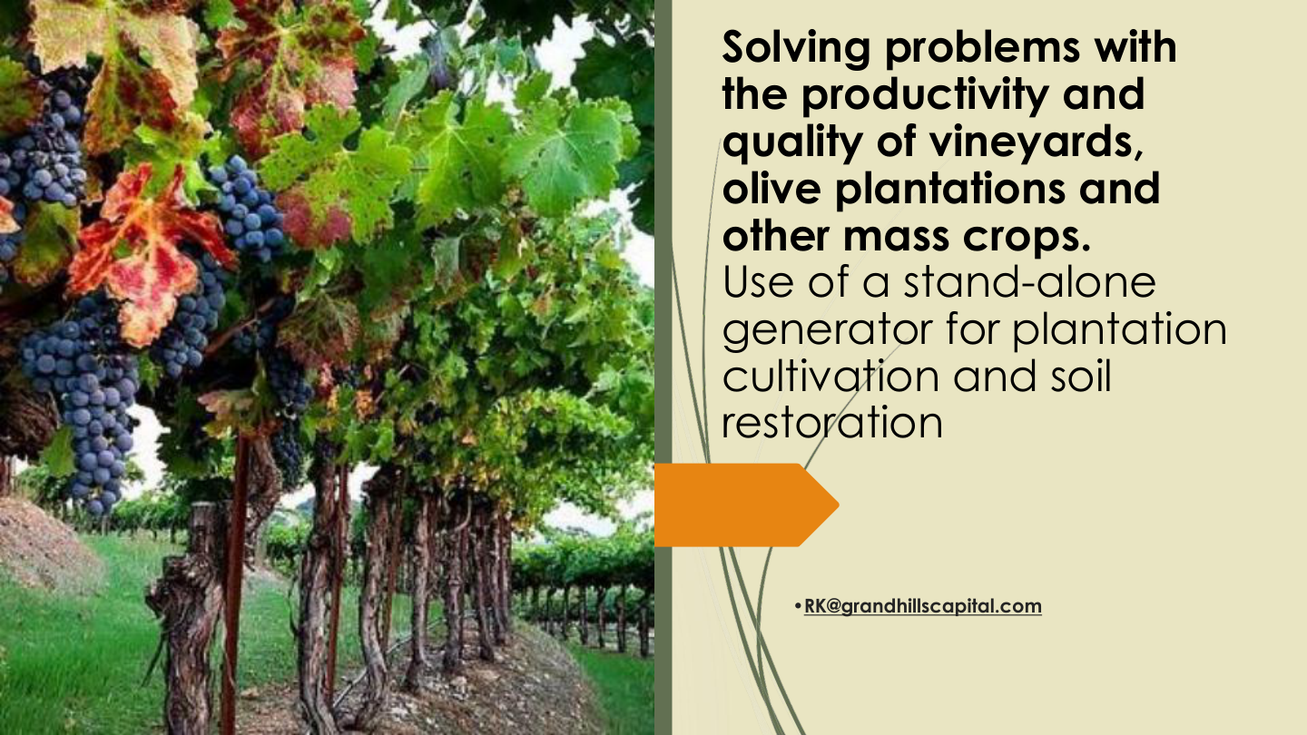 Vineyards